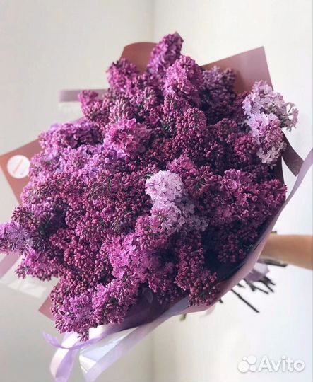 Сирень букет сирени