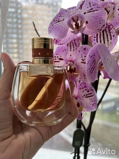 Chloe nomade absolu de parfum 50мл