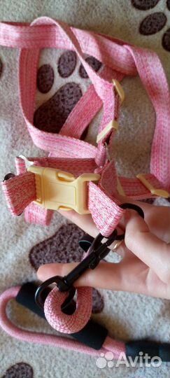 Шлейка с поводком