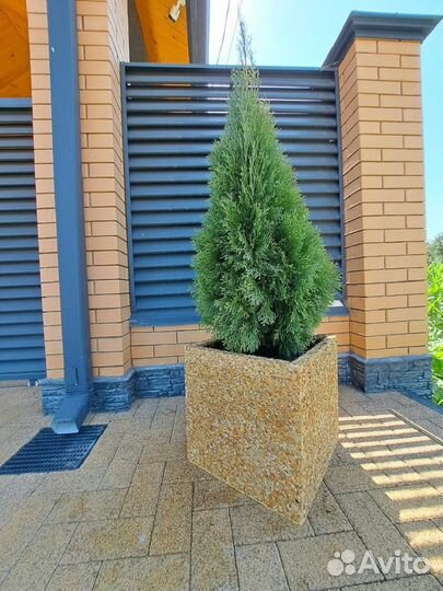 Кашпо из бетона в наличии и под заказ