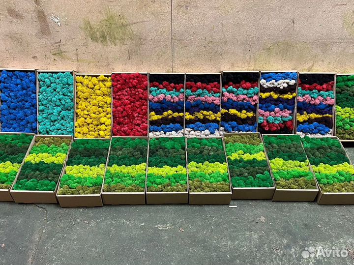 Стабилизированный мох, ягель, кочка, панно