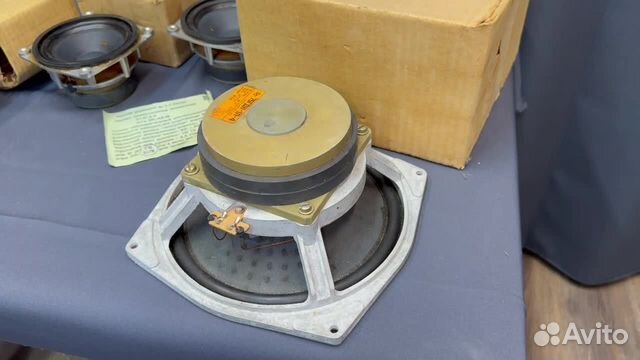 Динамики С хранения 20гдс 75гдн купить в Дзержинске | Электроника | Авито