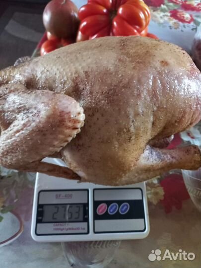 Мясо домашнего бройлера