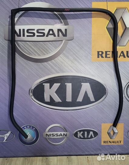 Уплотнитель зад проема двери Nissan primera P12 Ле