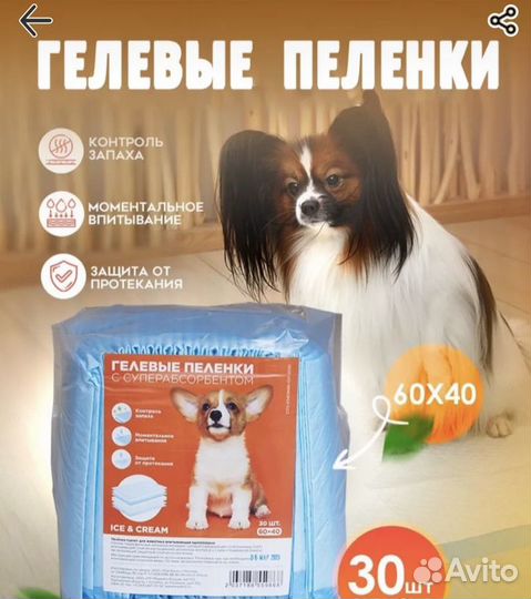 Фотосессия с собакой бабочкой (папийон)