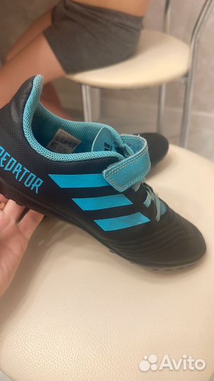 Сороконожка