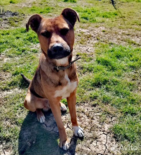 Помогите спасти