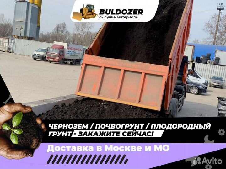 Чернозем