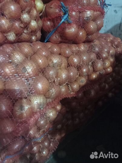 Лук