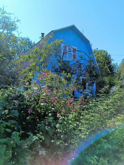 Дача 38 м² на участке 12 сот.