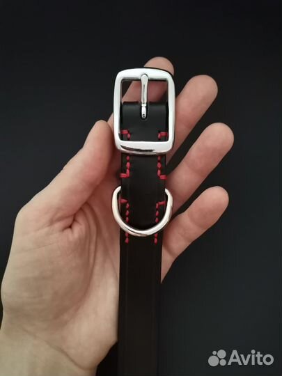 Кожаный ошейник для собак, ширина 2 см / 2.5 см