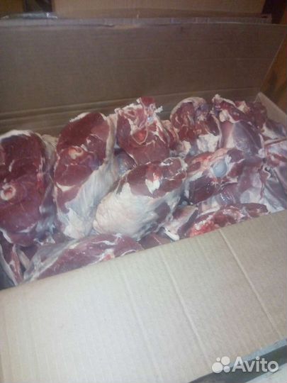 Мясо баранина