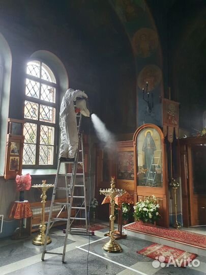 Уничтожение клопов, травить тараканов