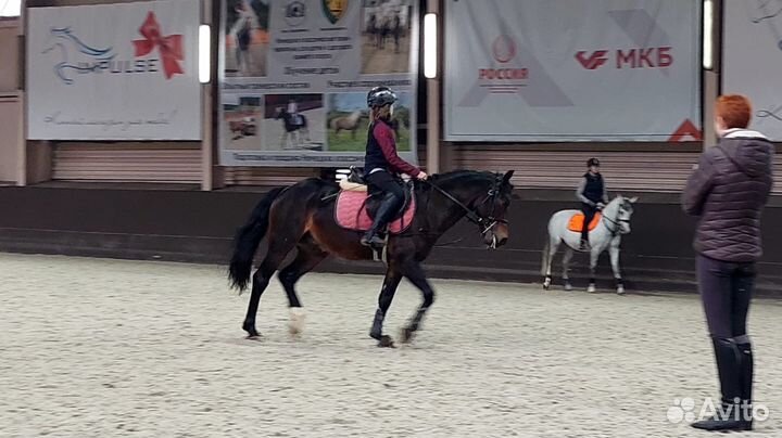 Верховая езда для детей Сокольники