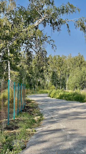 Участок 6 сот. (СНТ, ДНП)