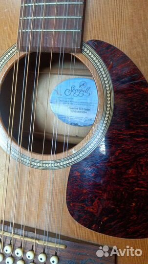 Гитара coastline s12