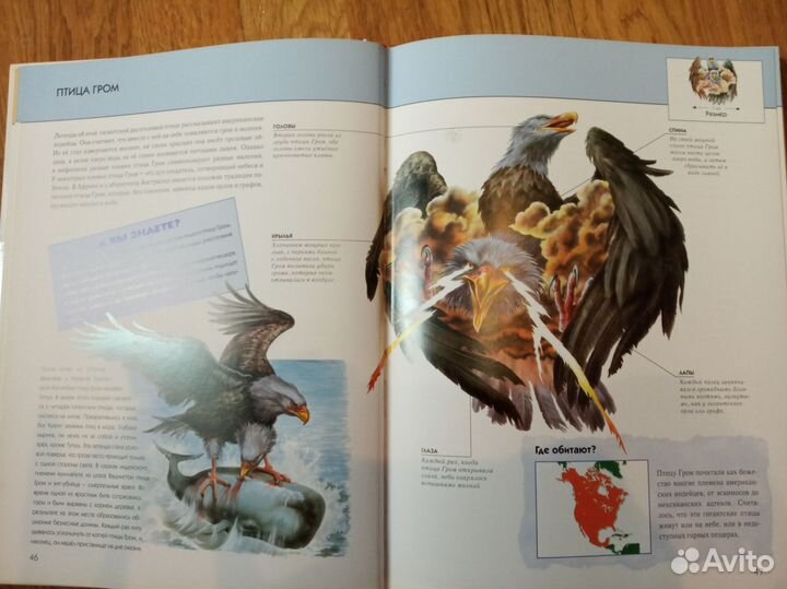 Энциклопедия подарочная