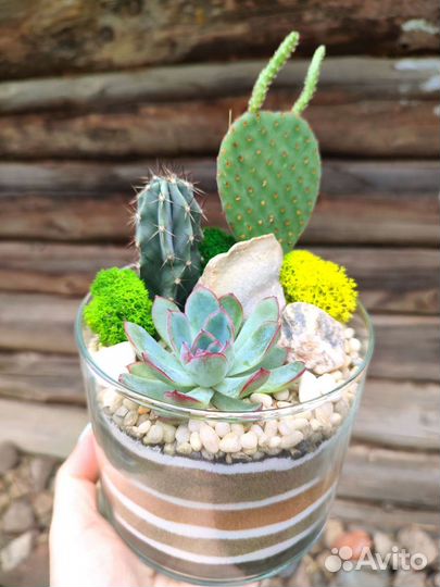 Флорариум для детей