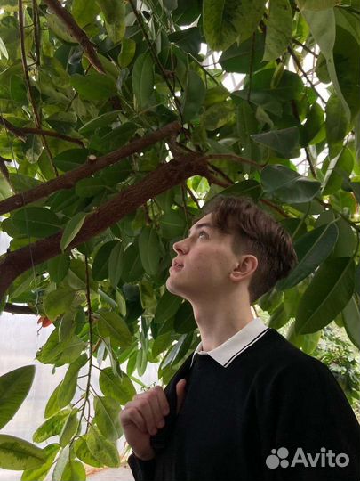 Репетитор по математике и физике