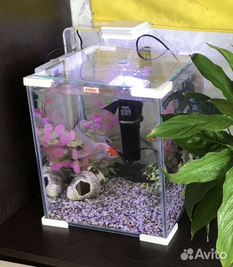 Аквариум 20 литров