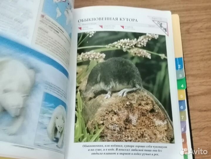 Книги про животных