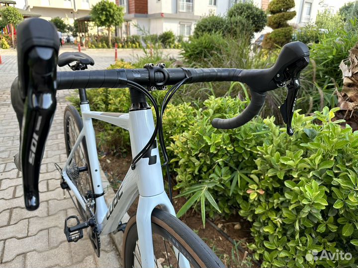 Cube, Specialized (два шоссейника)