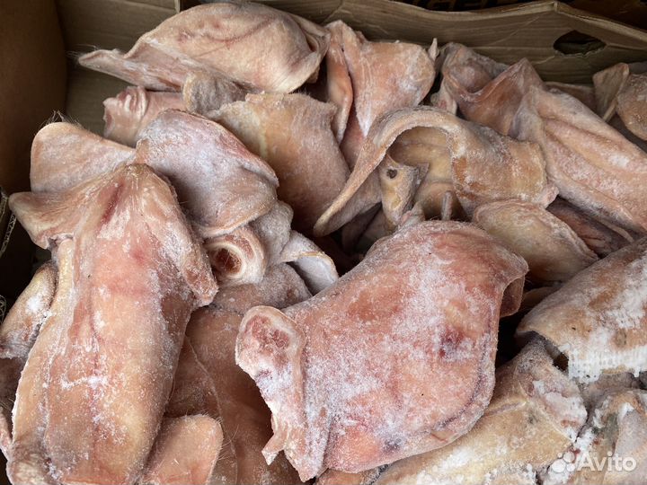 Уши свиные замороженные