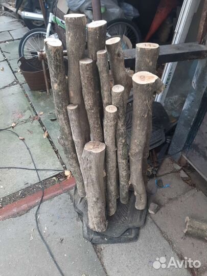 Древесина самшит