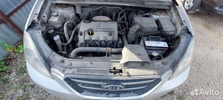 Капот Kia Carens