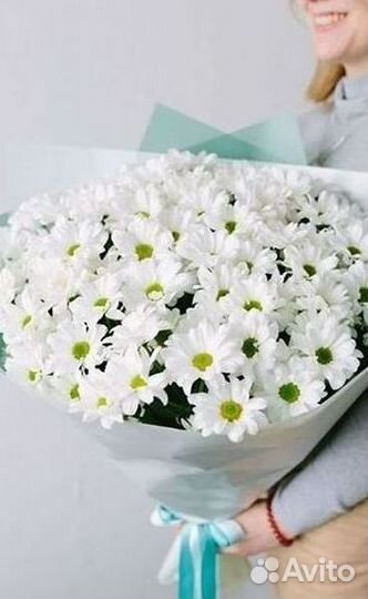 Хризантема Доставка цветов