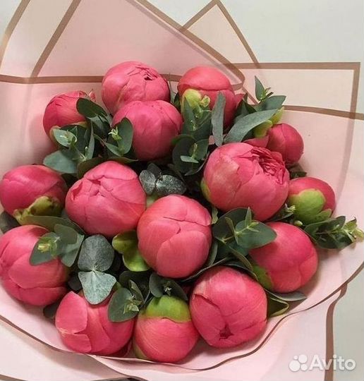 Пионы Цветы Доставка