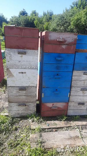 Продам ульи