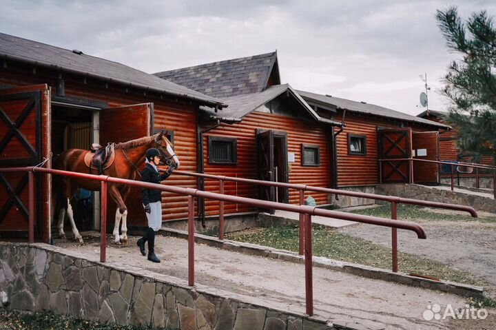 Постой для лошадей/Аренда денника