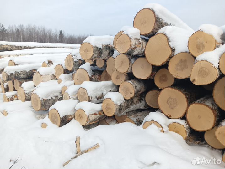 Фанерный кряж, Береза, Фанкряж,Кругляк, Фанера