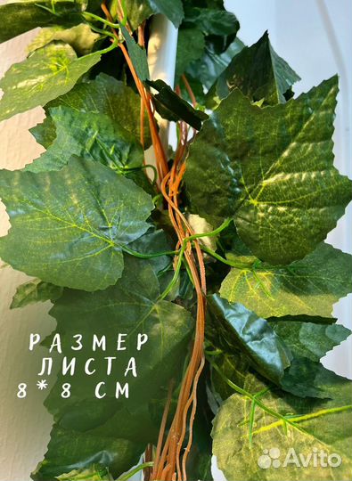 Декоративная лиана винограда (новое) дина 220 см