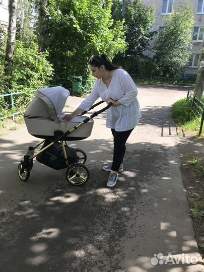 Коляска Adamex Reggio 2в1