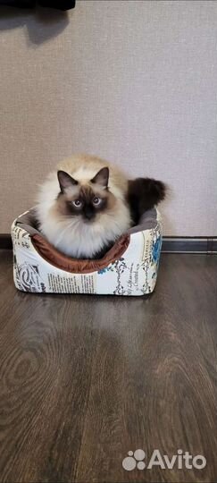 Лежанка мягкий домик для кота, кошки