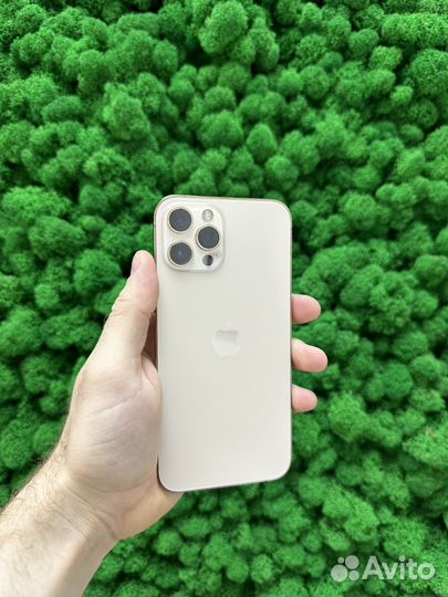 iPhone 12 Pro Max, 512 ГБ