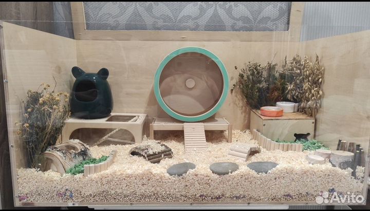 Витрина для грызунов