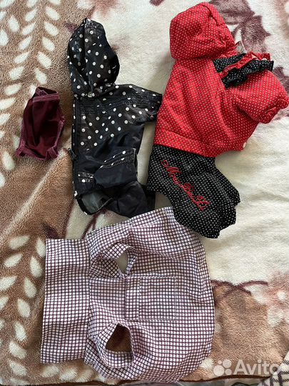 Одежда для маленьких собак