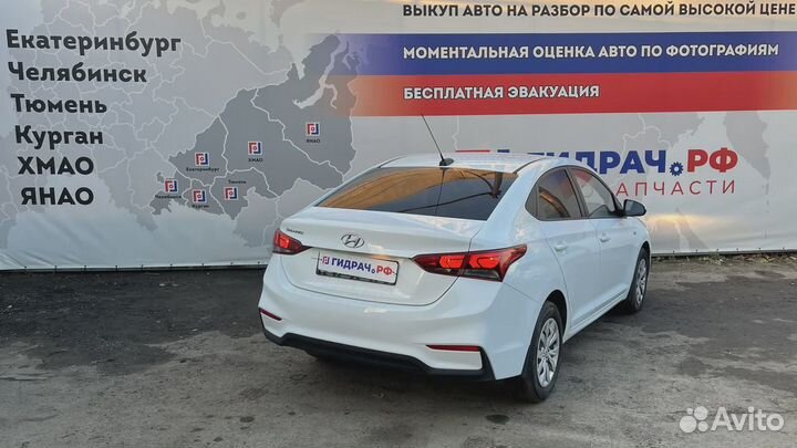 Петли двери передней левой Hyundai Solaris