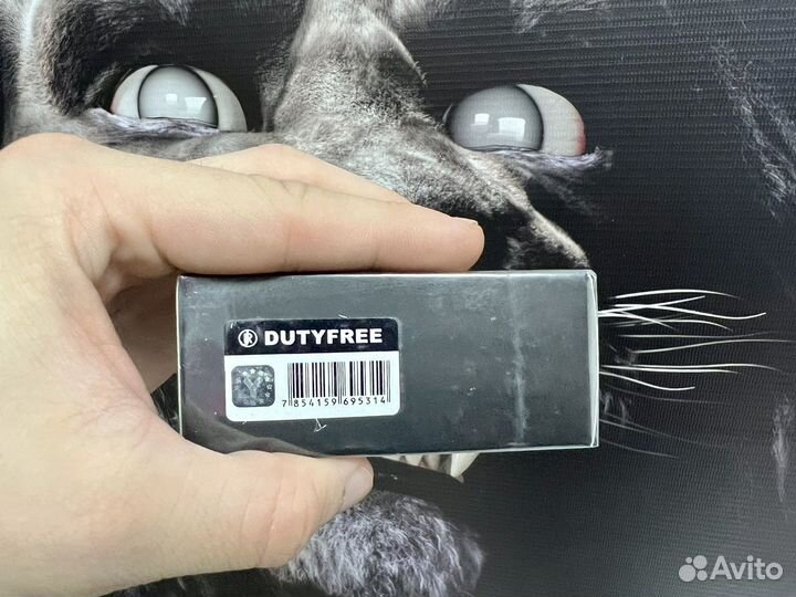 Kirke tiziana terenzi