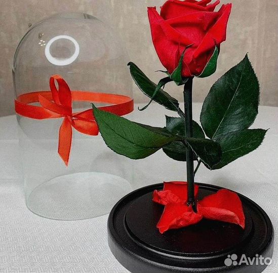 Живая роза в колбе