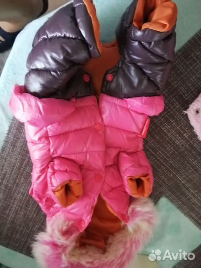 Комбинезон для маленькой собачки