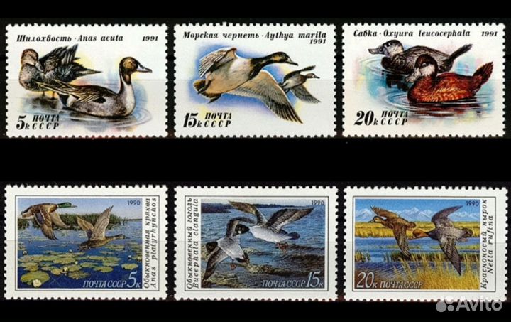 Марки Флора-Фауна серии на кулисе