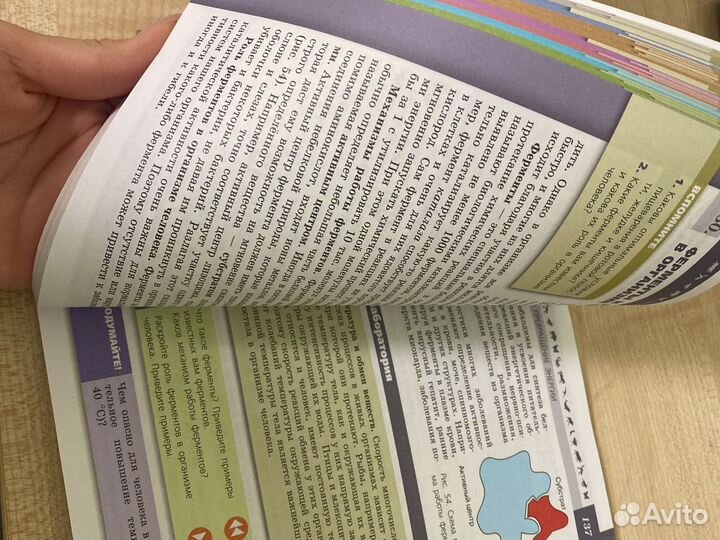 Учебник по биологии 8 класс пасечник