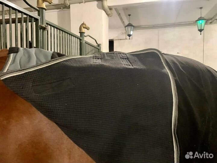 Попона флисовая для лошади 145р. Fouganza