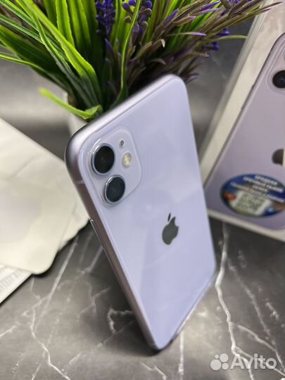 iPhone 11 (64 GB) Purple