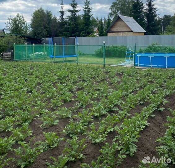 Батут с сеткой новый (140 м, 183 м, 244 м, 305 м