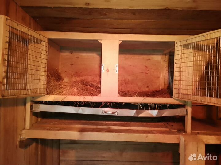 Крольчатник